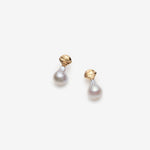 gold freshwater pearl earrings